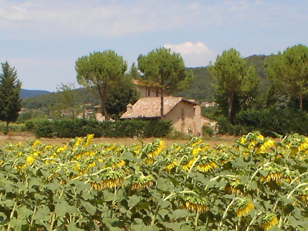 Casale Il Colombaio Di Toiano Guest House Valli Exterior photo